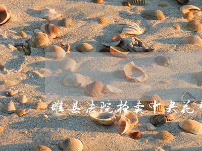 睢县法院拍卖中央花都 睢县法院拍卖中央花都