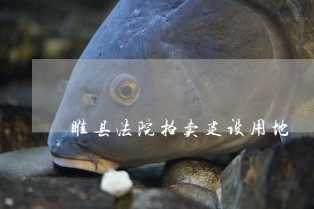 睢县法院拍卖建设用地 睢县法院拍卖建设用地