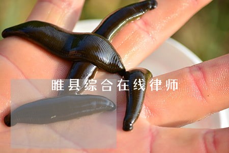 睢县综合在线律师 睢县综合在线律师