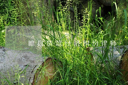 睢县货款经济纠纷律师 睢县货款经济纠纷律师