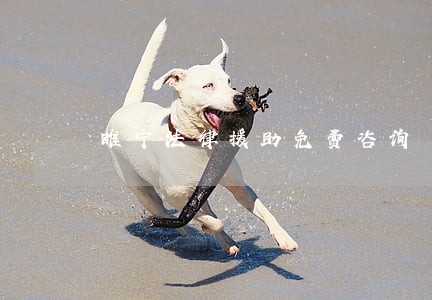 睢宁法律援助免费咨询 睢宁法律援助免费咨询
