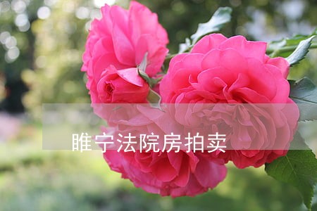 睢宁法院房拍卖 睢宁法院房拍卖