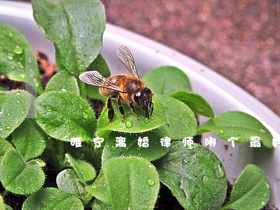 睢宁离婚律师哪个最好 睢宁离婚律师哪个最好