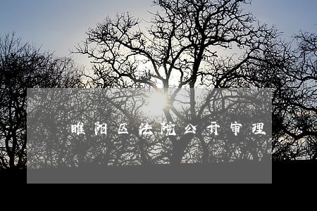 睢阳区法院公开审理