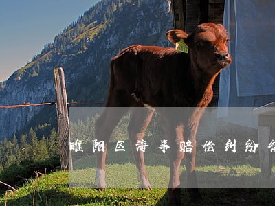睢阳区海事赔偿纠纷律师 睢阳区海事赔偿纠纷律师