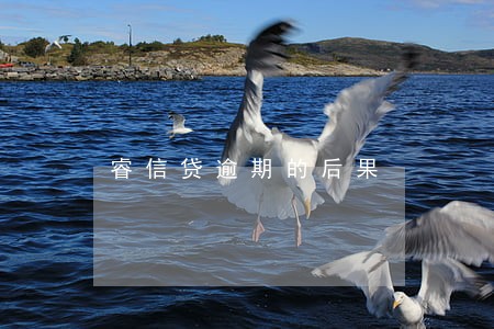 睿信贷逾期的后果 睿信贷逾期的后果