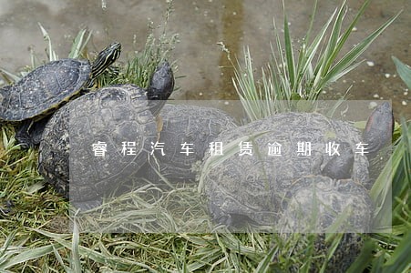 睿程汽车租赁逾期收车