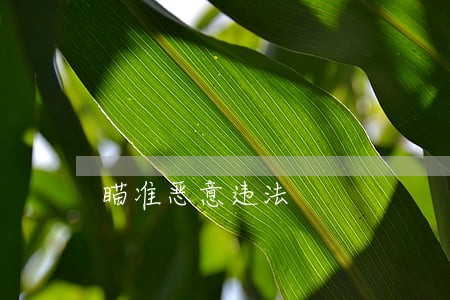 瞄准恶意违法