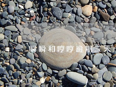 瞬瞬和哼哼逾期三天 瞬瞬和哼哼逾期三天