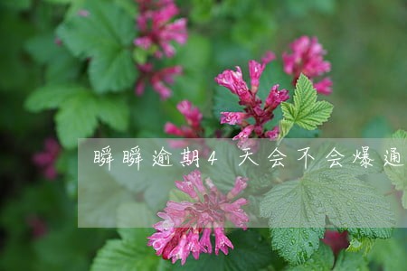瞬瞬逾期4天会不会爆通讯录