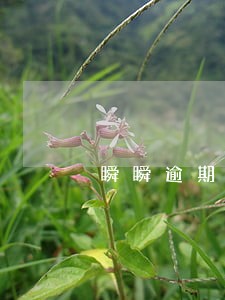 瞬瞬逾期三天会爆通讯录吗 瞬瞬逾期三天会爆通讯录吗