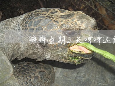 瞬瞬逾期三天哼哼还能借吗 瞬瞬逾期三天哼哼还能借吗