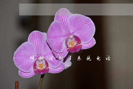 瞬瞬逾期了系统电话 瞬瞬逾期了系统电话