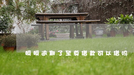 瞬瞬逾期了至尊借款可以借吗 瞬瞬逾期了至尊借款可以借吗