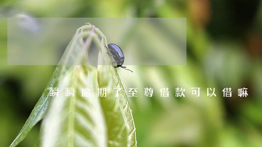 瞬瞬逾期了至尊借款可以借嘛 瞬瞬逾期了至尊借款可以借嘛