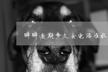 瞬瞬逾期多久会电话催收 瞬瞬逾期多久会电话催收