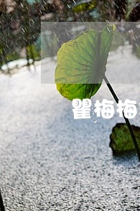 瞿梅梅信用卡逾期黑名单 瞿梅梅信用卡逾期黑名单