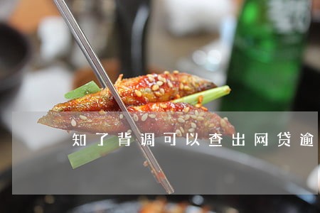 知了背调可以查出网贷逾期吗
