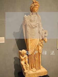 知产司法保护获国际社会认可 知产司法保护获国际社会认可