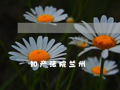 知产法院兰州