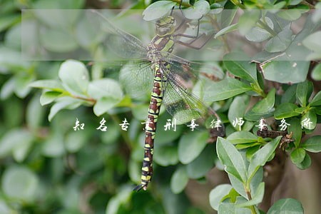 知名专业刑事律师事务所收费 知名专业刑事律师事务所收费