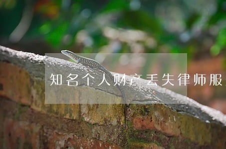知名个人财产丢失律师服务公司 知名个人财产丢失律师服务公司