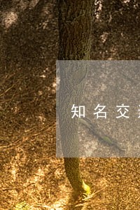 知名交通事故律师排名 知名交通事故律师排名