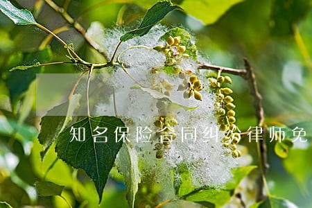 知名保险合同纠纷律师免费咨询 知名保险合同纠纷律师免费咨询