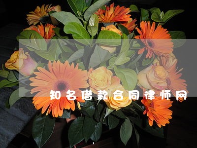 知名借款合同律师网 知名借款合同律师网