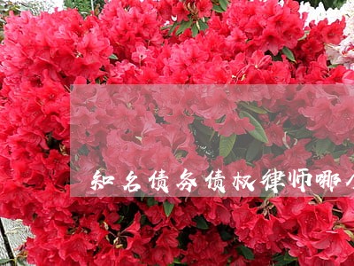 知名债务债权律师哪个好 知名债务债权律师哪个好
