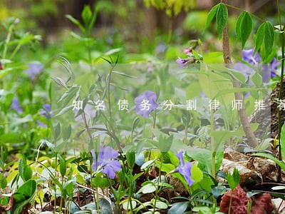 知名债务分割律师推荐