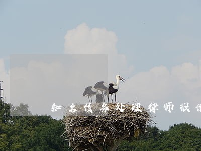 知名债务处理律师报价 知名债务处理律师报价