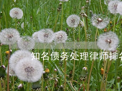 知名债务处理律师排名 知名债务处理律师排名