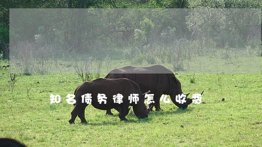 知名债务律师怎么收费 知名债务律师怎么收费