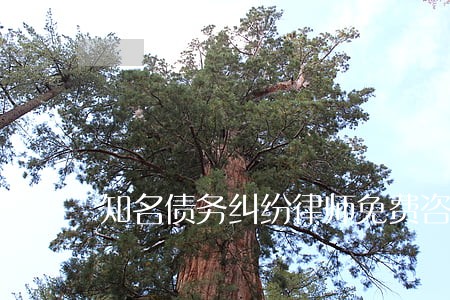 知名债务纠纷律师免费咨询 知名债务纠纷律师免费咨询