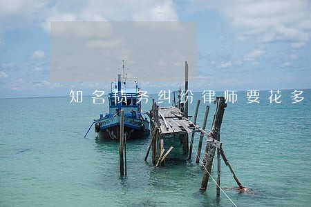 知名债务纠纷律师要花多少钱咨询 知名债务纠纷律师要花多少钱咨询
