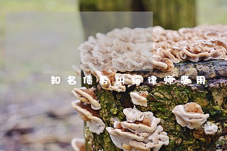 知名债务纠纷律师费用 知名债务纠纷律师费用