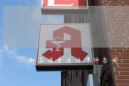 知名债务追讨律师咨询 知名债务追讨律师咨询
