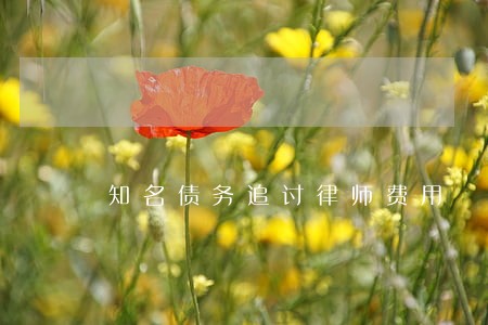 知名债务追讨律师费用 知名债务追讨律师费用