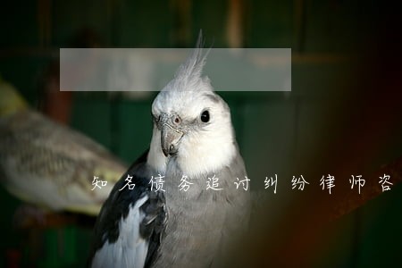 知名债务追讨纠纷律师咨询平台 知名债务追讨纠纷律师咨询平台