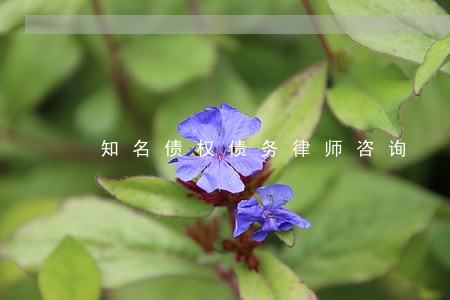 知名债权债务律师咨询 知名债权债务律师咨询