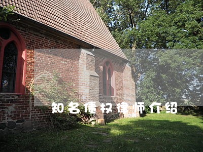 知名债权律师介绍 知名债权律师介绍