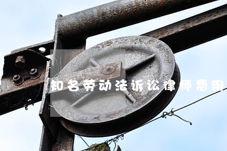 知名劳动法诉讼律师费用收取标准