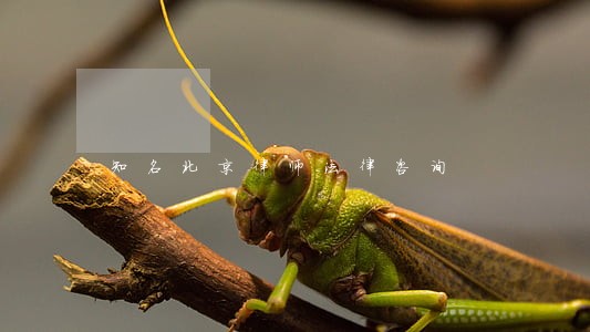 知名北京律师法律咨询 知名北京律师法律咨询