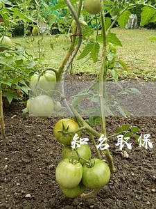 知名取保候审律师咨询微信 知名取保候审律师咨询微信