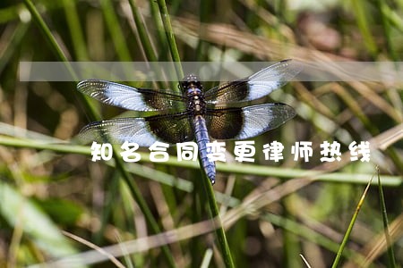 知名合同变更律师热线 知名合同变更律师热线