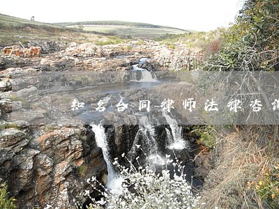 知名合同律师法律咨询 知名合同律师法律咨询