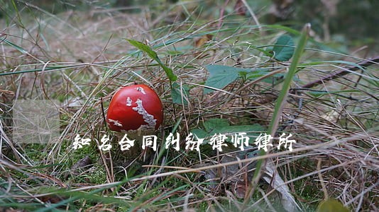 知名合同纠纷律师律所 知名合同纠纷律师律所