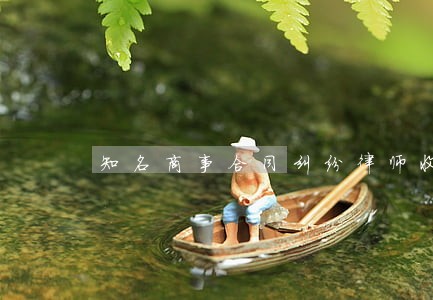 知名商事合同纠纷律师收费 知名商事合同纠纷律师收费