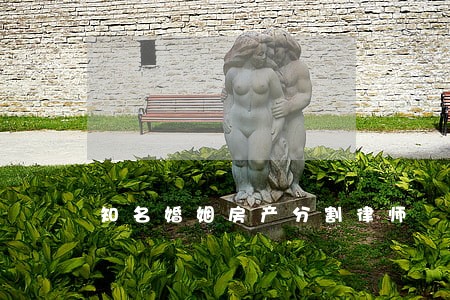 知名婚姻房产分割律师 知名婚姻房产分割律师